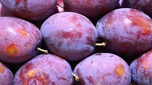 Italian prune plums