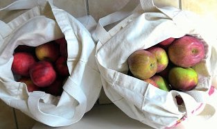 apples in bags