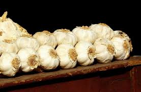 garlic heads